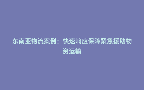 東南亞物流案例:快速響應(yīng)保障緊急援助物資運(yùn)輸