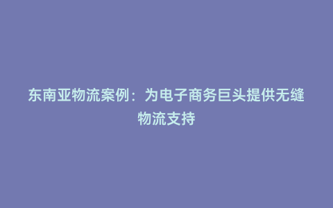 東南亞物流案例:為電子商務巨頭提供無縫物流支持