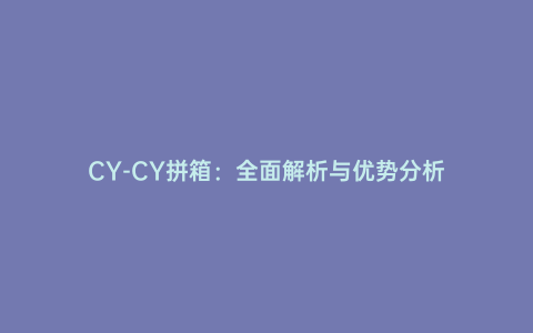 CY-CY拼箱：全面解析與優(yōu)勢分析