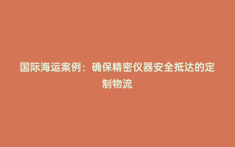 國際海運案例:確保精密儀器安全抵達的定制物流