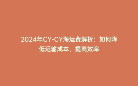 2024年CY-CY海運費解析:如何降低運輸成本、提高效率