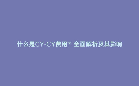 什么是CY-CY費用?全面解析及其影響