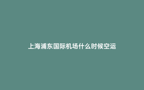 上海浦東國際機場什么時候空運