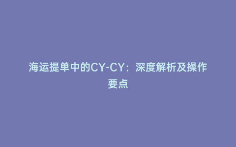 海運提單中的CY-CY:深度解析及操作要點