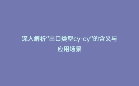 深入解析“出口類型cy-cy”的含義與應用場景