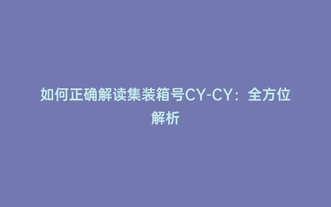 如何正確解讀集裝箱號CY-CY:全方位解析