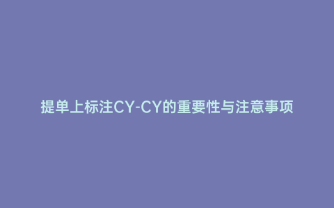 提單上標注CY-CY的重要性與注意事項
