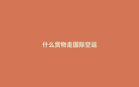 什么貨物走國際空運(yùn)