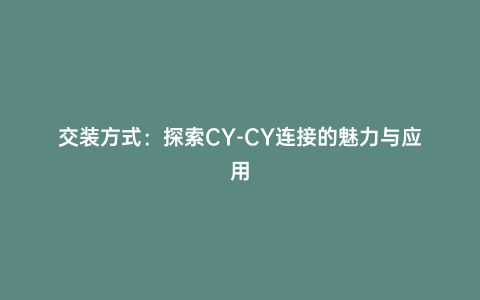交裝方式:探索CY-CY連接的魅力與應用