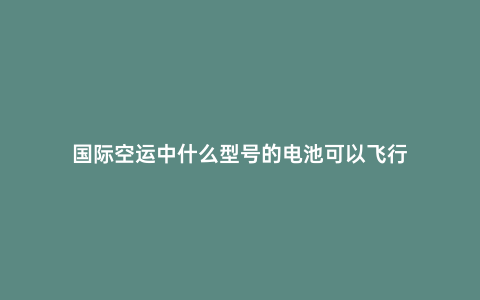 國際空運中什么型號的電池可以飛行