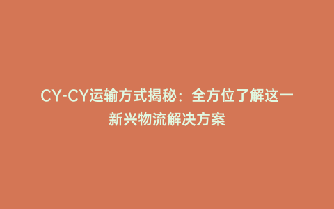 CY-CY運(yùn)輸方式揭秘:全方位了解這一新興物流解決方案