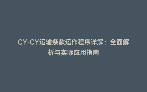 CY-CY運輸條款運作程序詳解：全面解析與實際應用指南