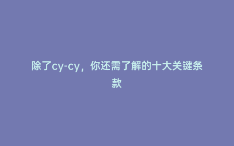 除了cy-cy，你還需了解的十大關(guān)鍵條款