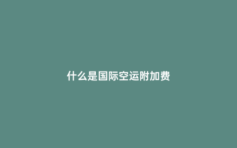 什么是國際空運附加費