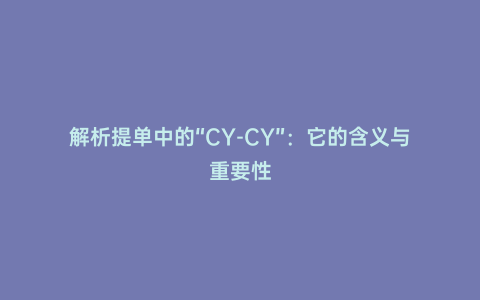 解析提單中的“CY-CY”：它的含義與重要性