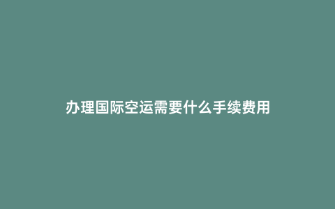 辦理國際空運需要什么手續費用