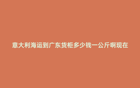 意大利海運到廣東貨柜多少錢一公斤