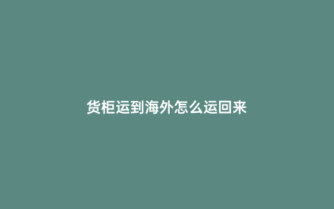 貨柜運到海外怎么運回來