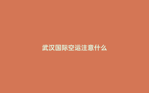 武漢國際空運注意什么