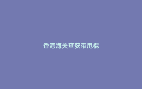 香港海關查獲帶甩棍