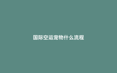 國(guó)際空運(yùn)寵物什么流程