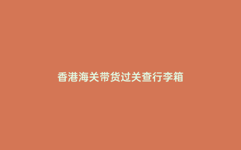 香港海關(guān)帶貨過(guò)關(guān)查行李箱