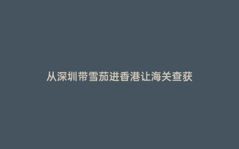 從深圳帶雪茄進香港讓海關查獲