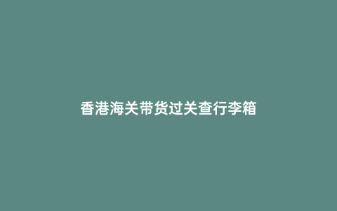 香港海關(guān)帶貨過關(guān)查行李箱