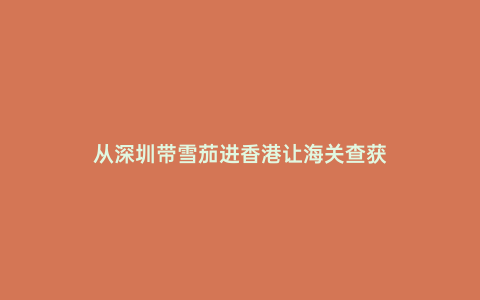 從深圳帶雪茄進香港讓海關查獲
