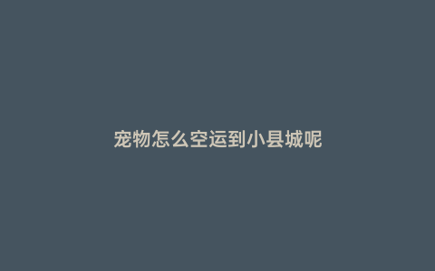 寵物怎么空運到小縣城呢
