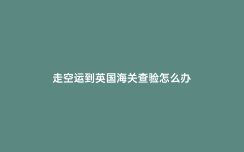 走空運(yùn)到英國海關(guān)查驗(yàn)怎么辦