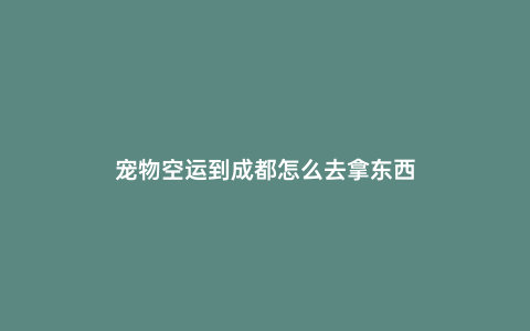 寵物空運到成都怎么去拿東西