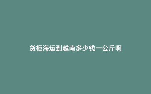 貨柜海運到越南多少錢一公斤啊