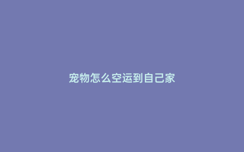 寵物怎么空運(yùn)到自己家